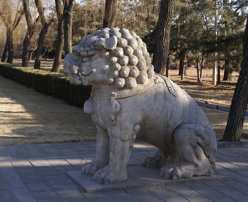 DSC07988.JPG