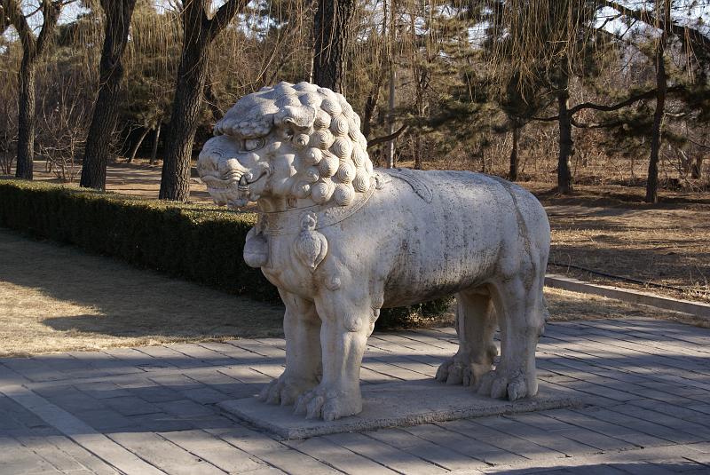 DSC07997.JPG