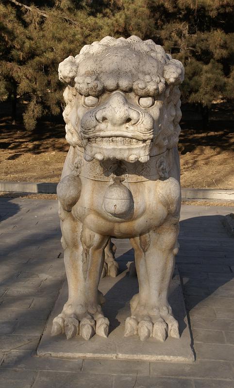 DSC08000.JPG