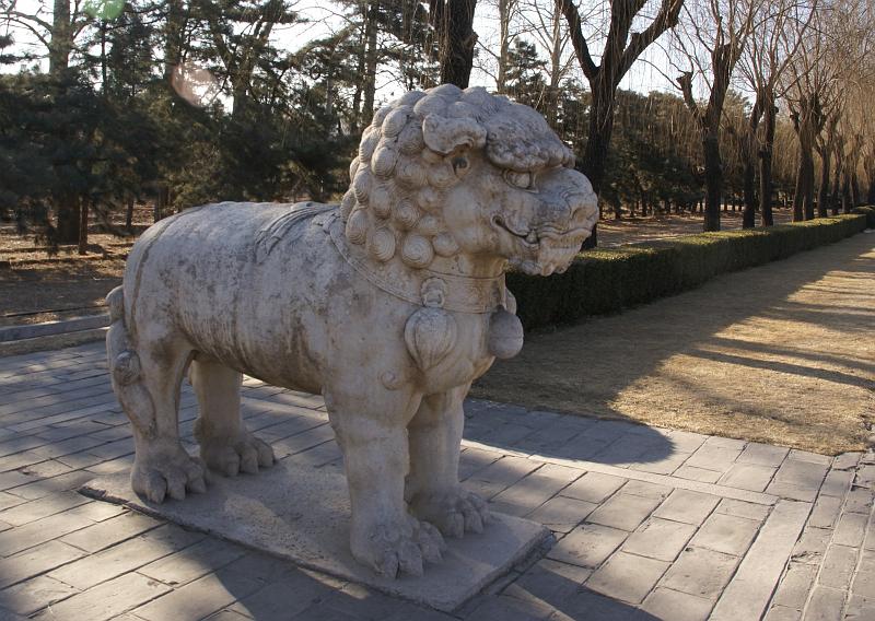 DSC08002.JPG