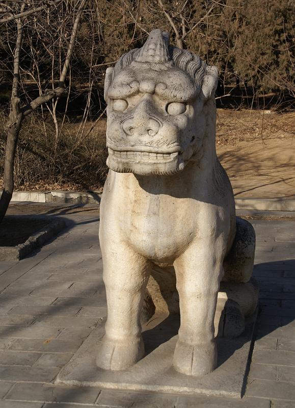 DSC08009.JPG