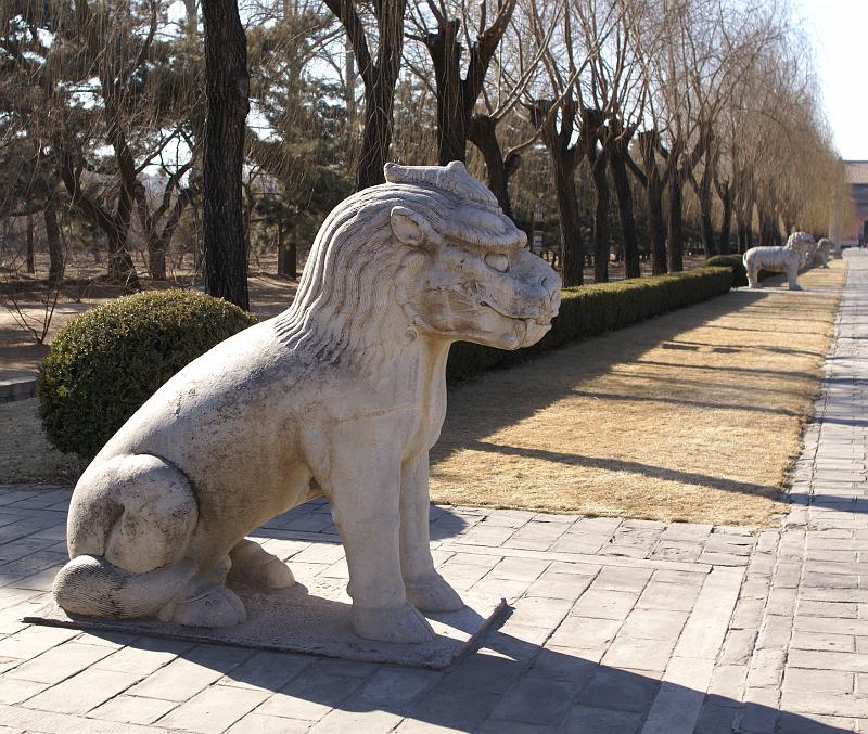 DSC08184.JPG