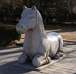 DSC08072
