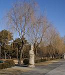 DSC08108