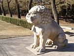 DSC08195