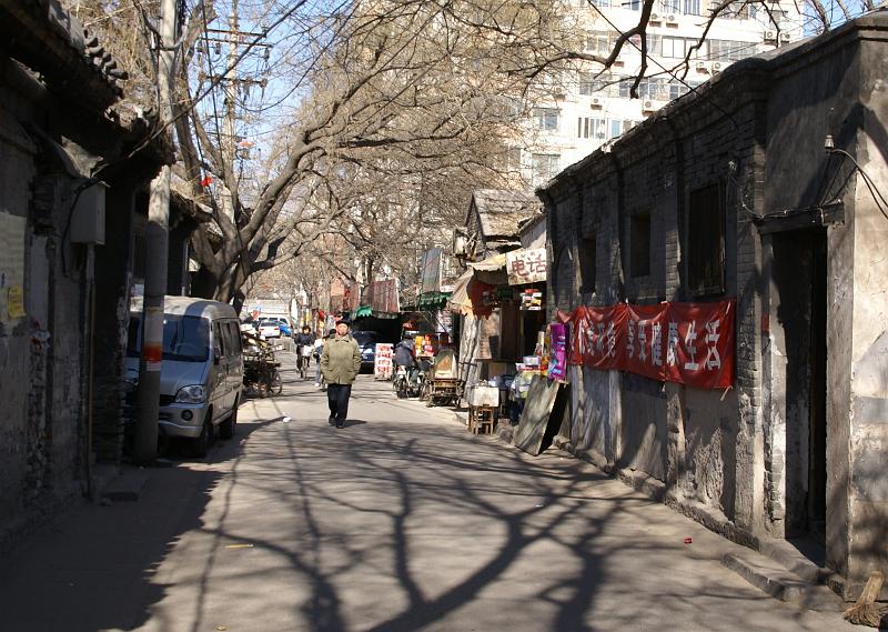 DSC08238.JPG