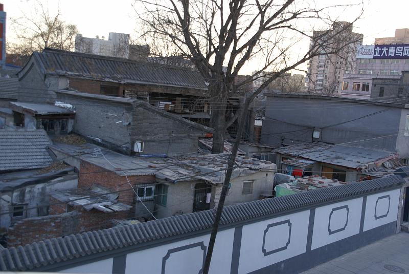 DSC08298.JPG