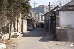 DSC07521