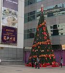 DSC08849