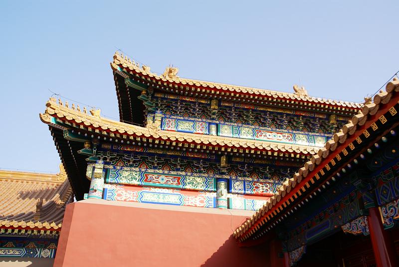 DSC08454.JPG