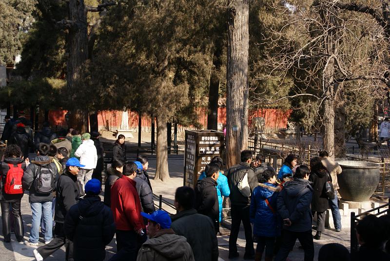 DSC08571.JPG