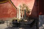 DSC08604