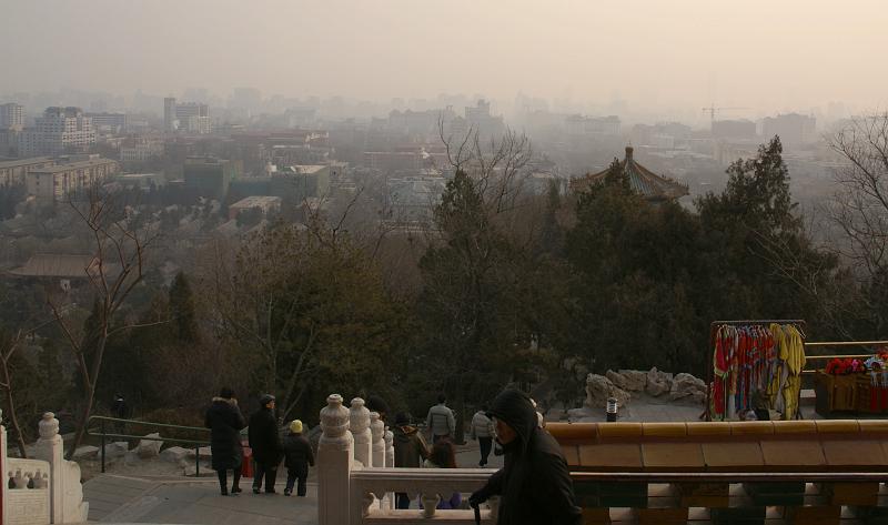 DSC08698.JPG