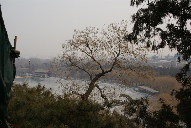 DSC08762.JPG
