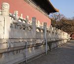 DSC07706