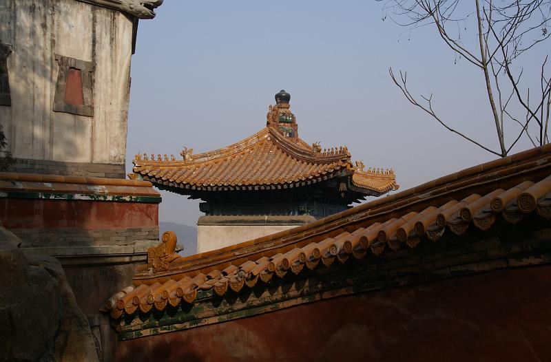 DSC08892.JPG